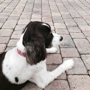 Meet your Posher, Caitlyn